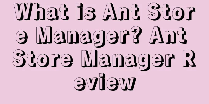What is Ant Store Manager? Ant Store Manager Review