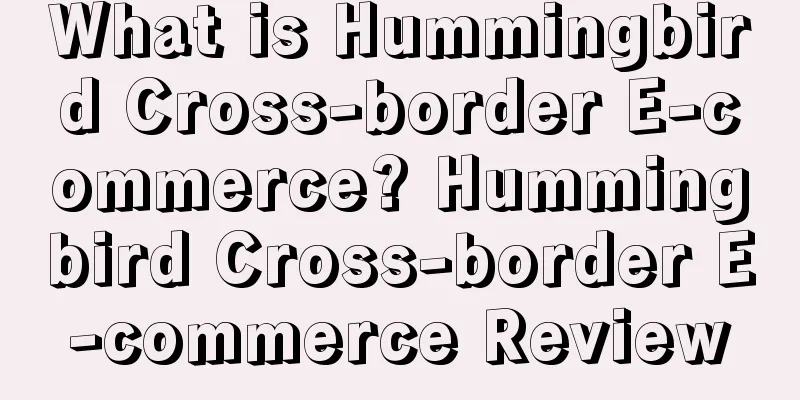 What is Hummingbird Cross-border E-commerce? Hummingbird Cross-border E-commerce Review