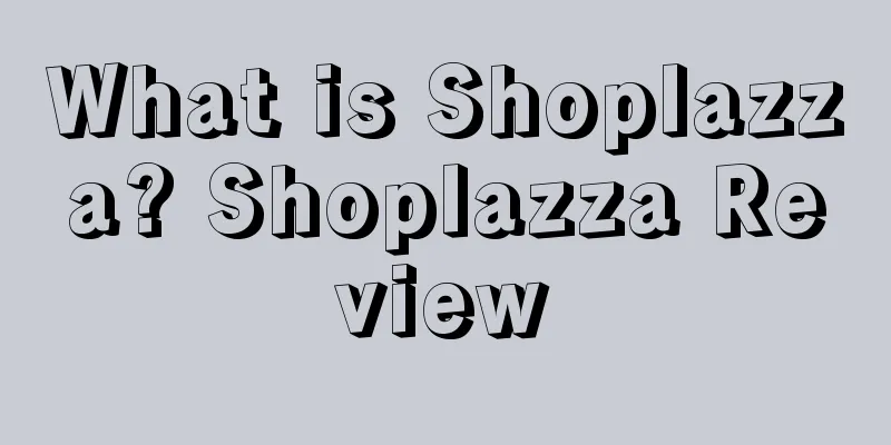 What is Shoplazza? Shoplazza Review