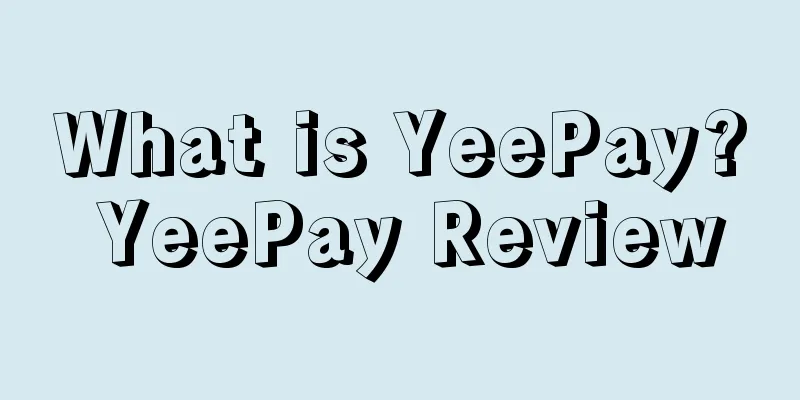 What is YeePay? YeePay Review