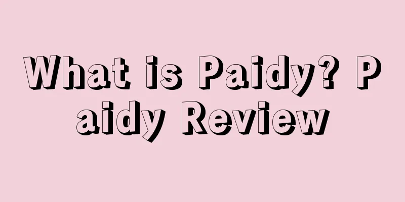 What is Paidy? Paidy Review