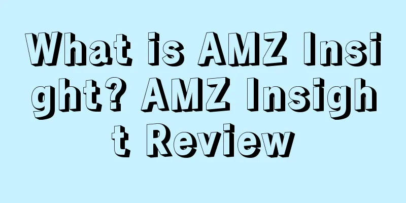 What is AMZ Insight? AMZ Insight Review