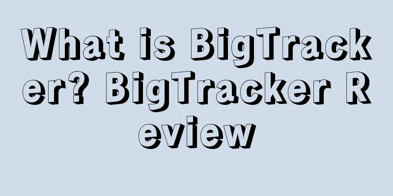What is BigTracker? BigTracker Review