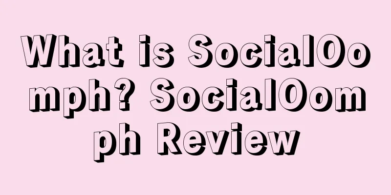 What is SocialOomph? SocialOomph Review