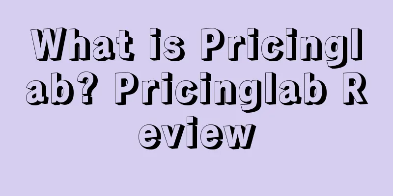 What is Pricinglab? Pricinglab Review