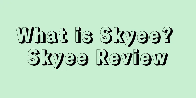 What is Skyee? Skyee Review
