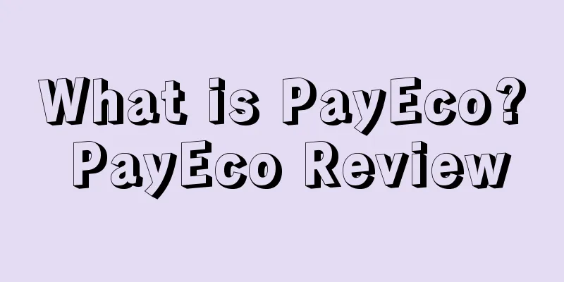 What is PayEco? PayEco Review