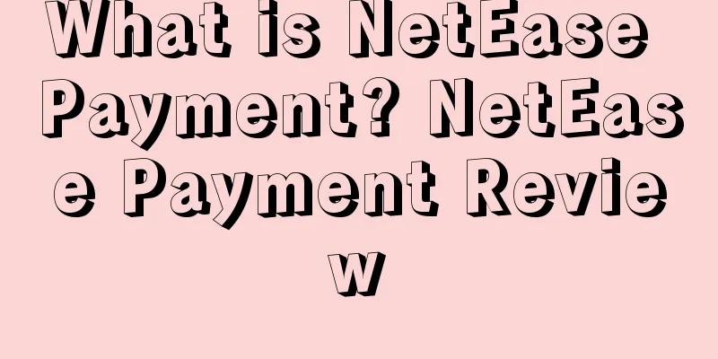 What is NetEase Payment? NetEase Payment Review