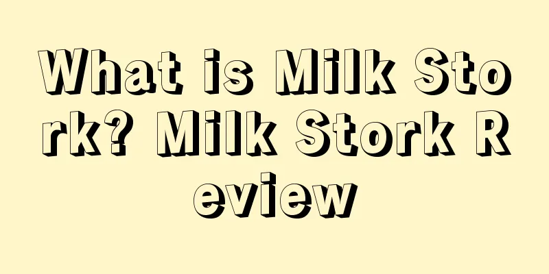 What is Milk Stork? Milk Stork Review