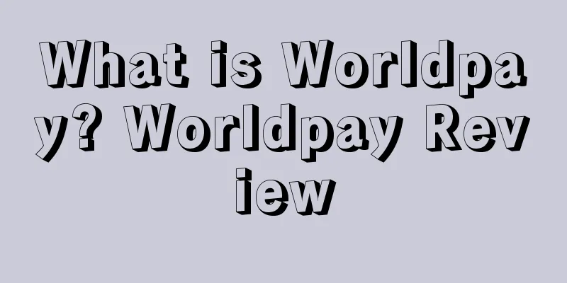 What is Worldpay? Worldpay Review