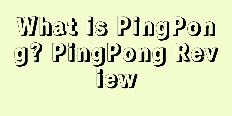 What is PingPong? PingPong Review