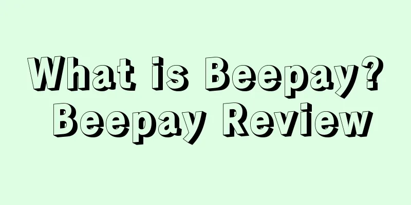 What is Beepay? Beepay Review