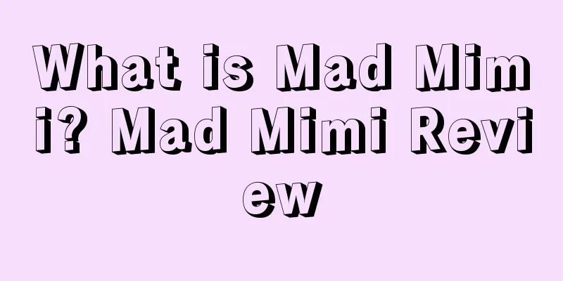 What is Mad Mimi? Mad Mimi Review