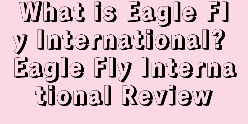 What is Eagle Fly International? Eagle Fly International Review