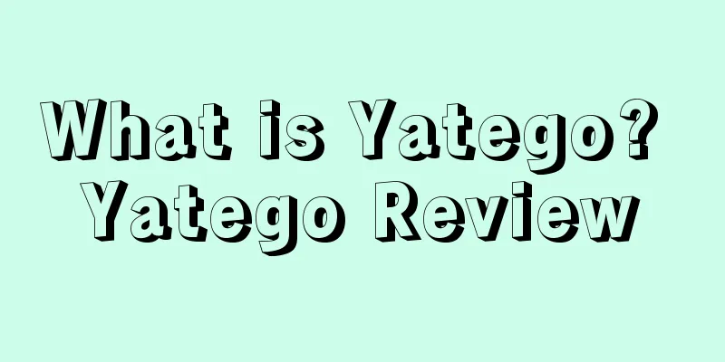 What is Yatego? Yatego Review