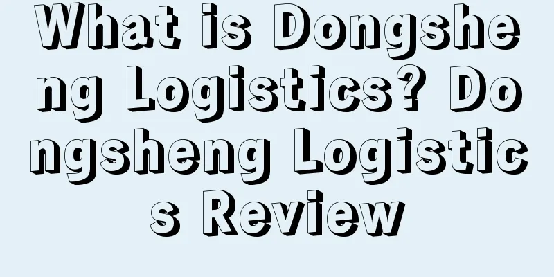 What is Dongsheng Logistics? Dongsheng Logistics Review