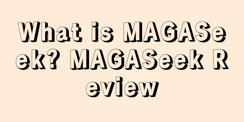 What is MAGASeek? MAGASeek Review