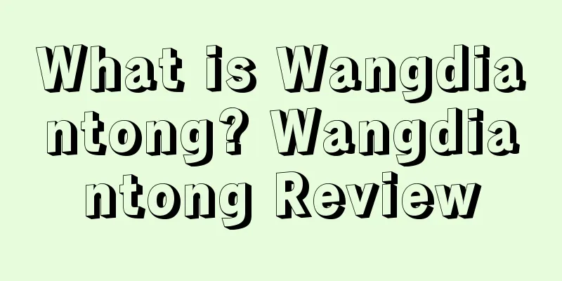 What is Wangdiantong? Wangdiantong Review