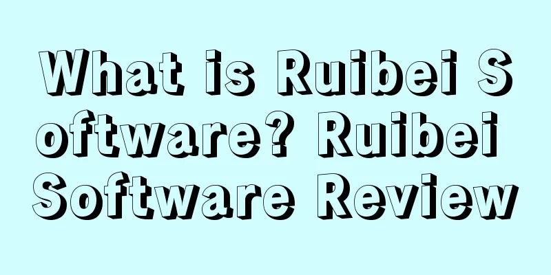 What is Ruibei Software? Ruibei Software Review