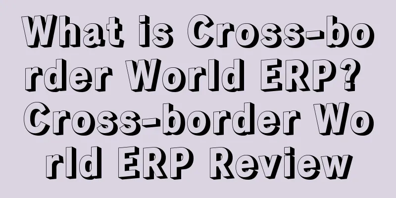 What is Cross-border World ERP? Cross-border World ERP Review