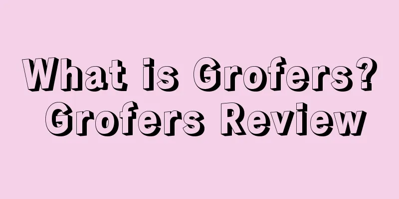 What is Grofers? Grofers Review