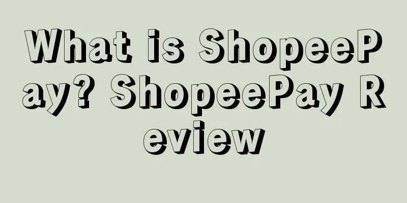 What is ShopeePay? ShopeePay Review