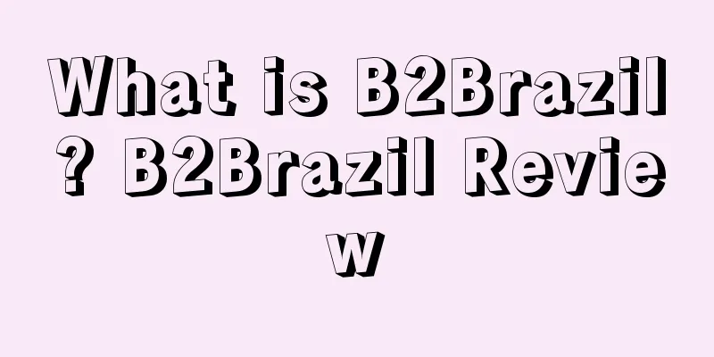 What is B2Brazil? B2Brazil Review