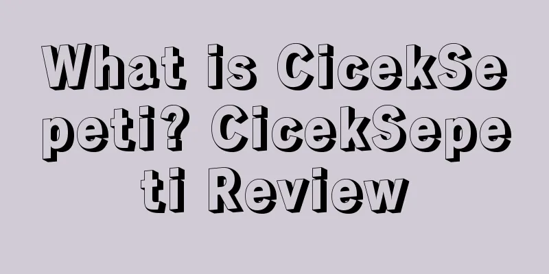 What is CicekSepeti? CicekSepeti Review