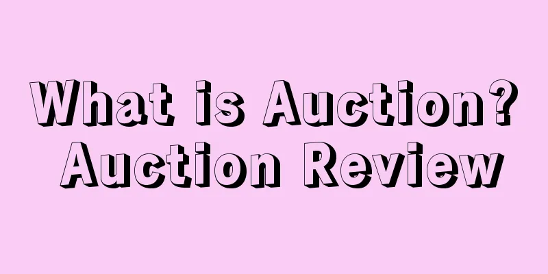 What is Auction? Auction Review