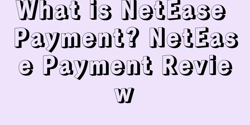 What is NetEase Payment? NetEase Payment Review