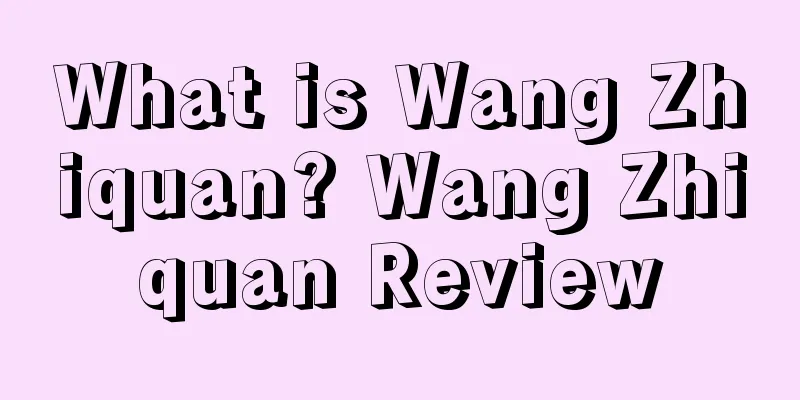 What is Wang Zhiquan? Wang Zhiquan Review