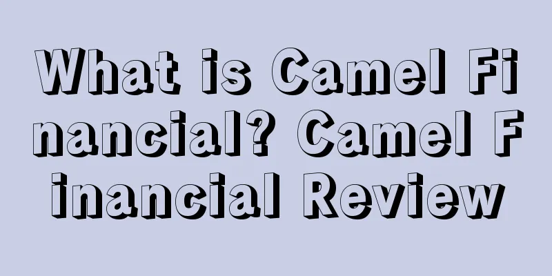 What is Camel Financial? Camel Financial Review