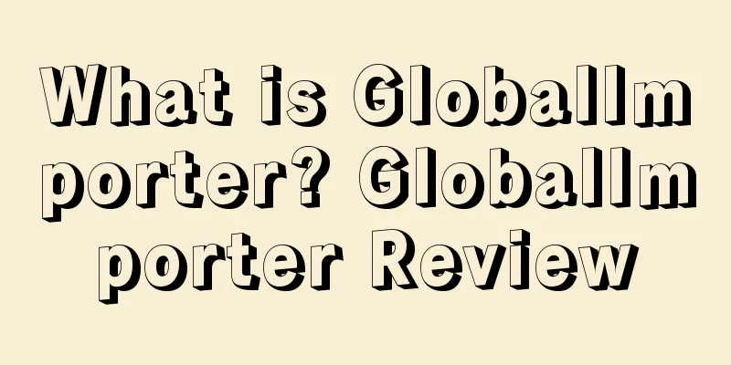 What is GlobalImporter? GlobalImporter Review