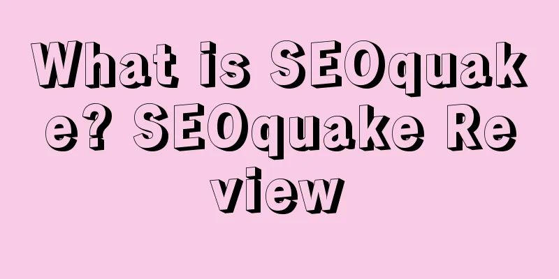 What is SEOquake? SEOquake Review