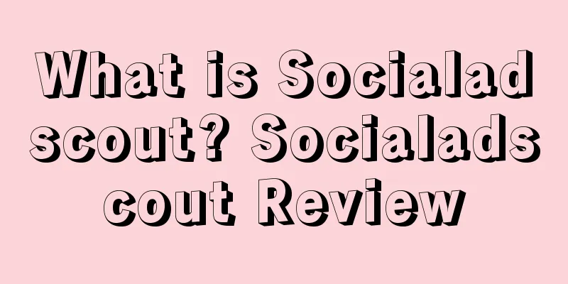 What is Socialadscout? Socialadscout Review