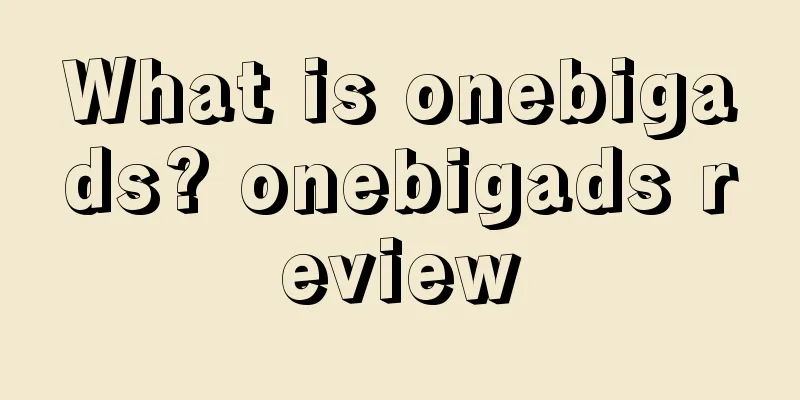 What is onebigads? onebigads review