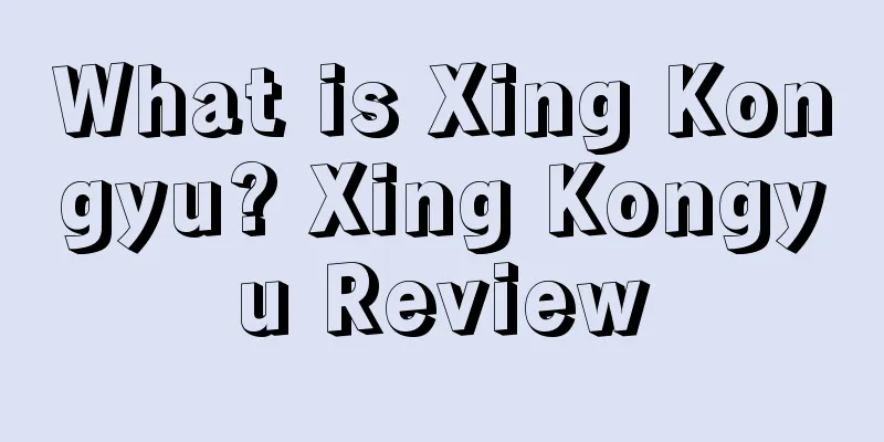 What is Xing Kongyu? Xing Kongyu Review