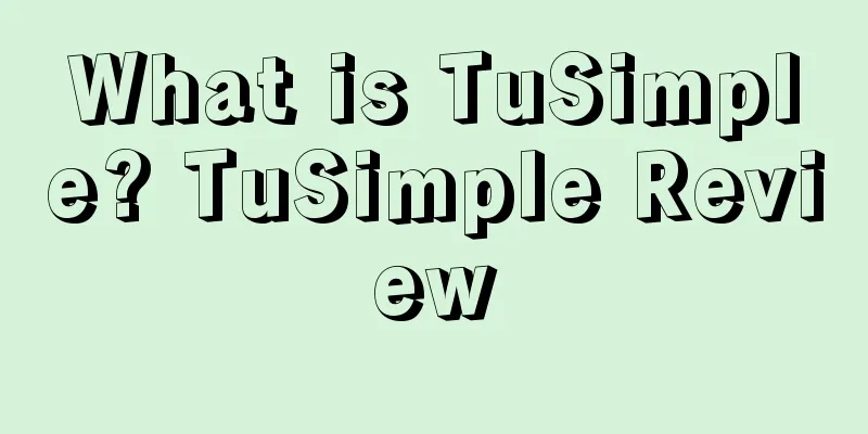 What is TuSimple? TuSimple Review
