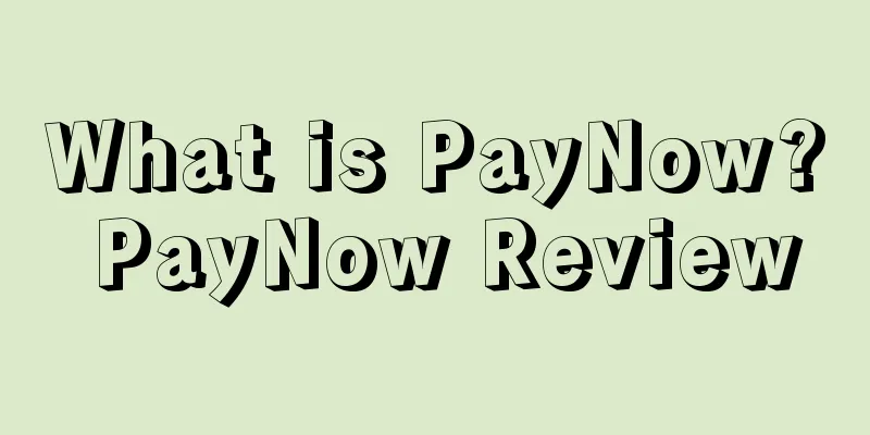 What is PayNow? PayNow Review
