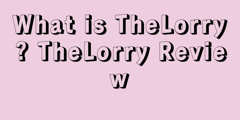 What is TheLorry? TheLorry Review