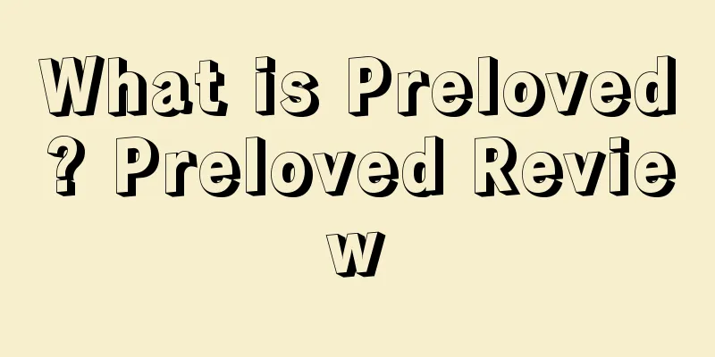 What is Preloved? Preloved Review