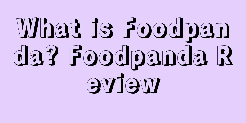 What is Foodpanda? Foodpanda Review