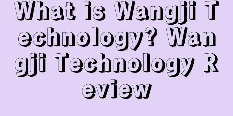 What is Wangji Technology? Wangji Technology Review