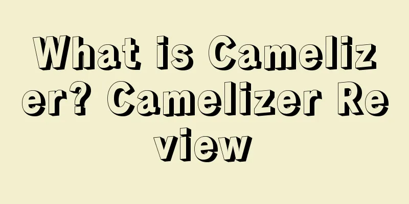 What is Camelizer? Camelizer Review