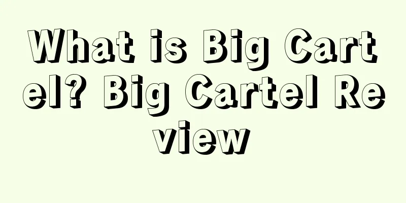 What is Big Cartel? Big Cartel Review
