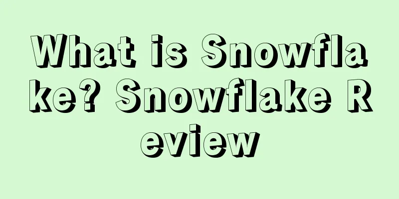 What is Snowflake? Snowflake Review