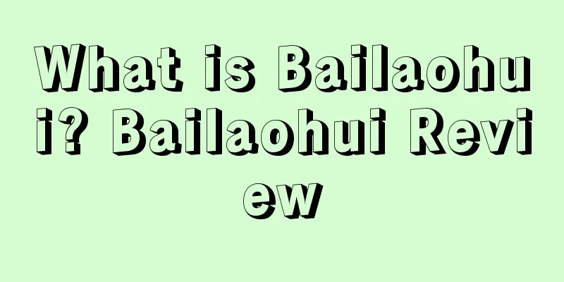 What is Bailaohui? Bailaohui Review