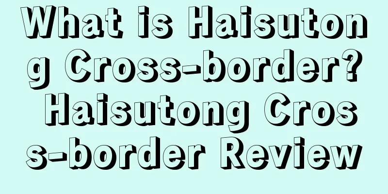 What is Haisutong Cross-border? Haisutong Cross-border Review