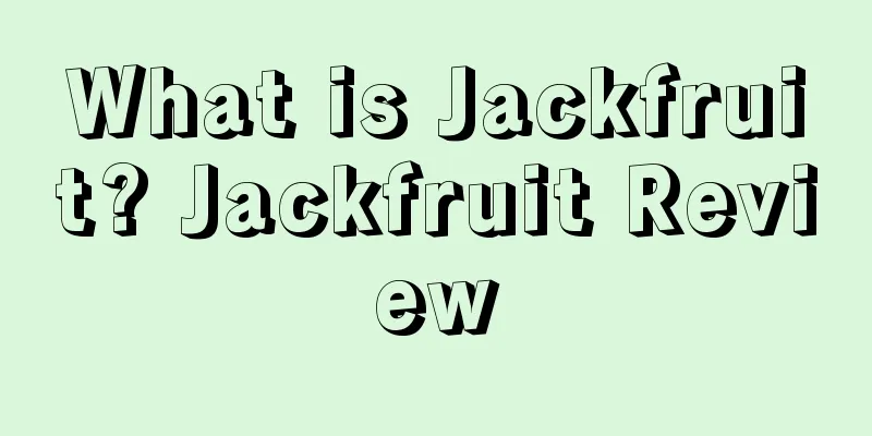What is Jackfruit? Jackfruit Review