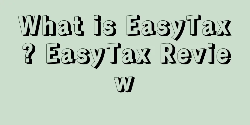 What is EasyTax? EasyTax Review